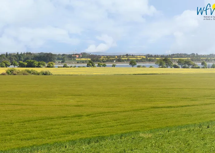 Am Gutspark Drankse Heiderose