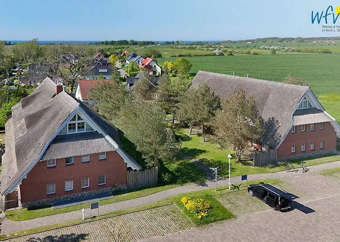 Am Gutspark Drankse Heiderose * Dranske